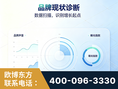 漳州-品牌现状诊断