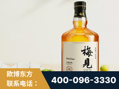 漳州-梅见青梅酒